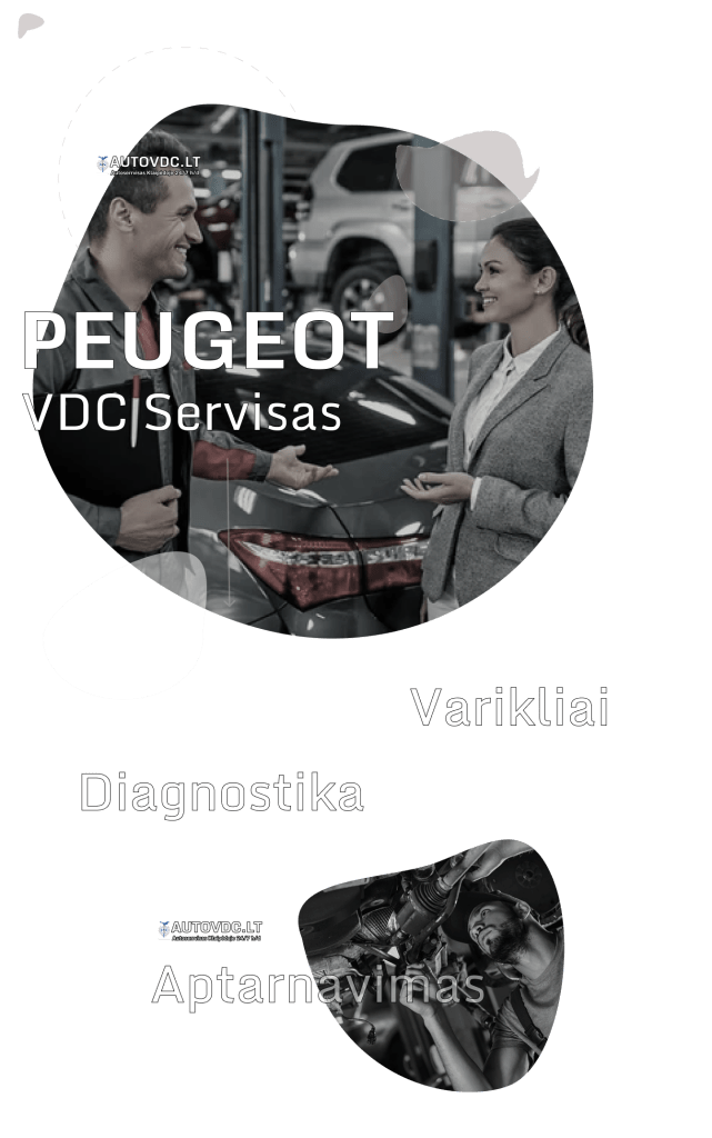 Peugeot servisas Klaipėdoje remontas diagnostika patikra vdc